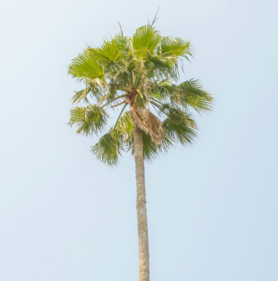 双级压缩-空压机-GGV系列